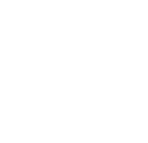 ISO 20000 logo